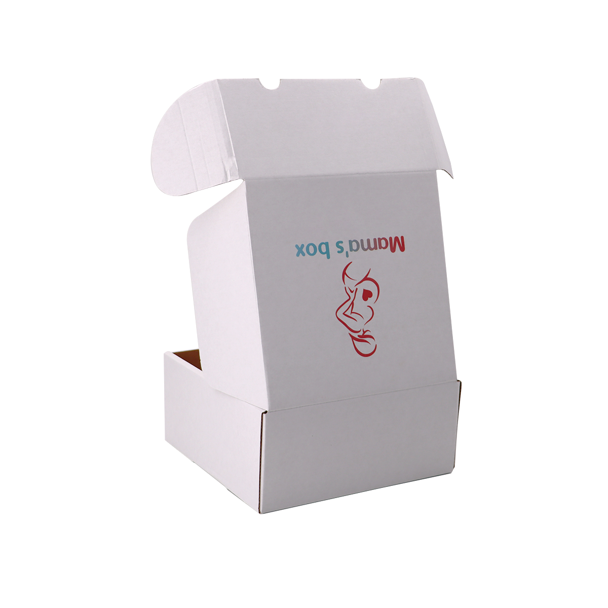 Immagine non disponibile