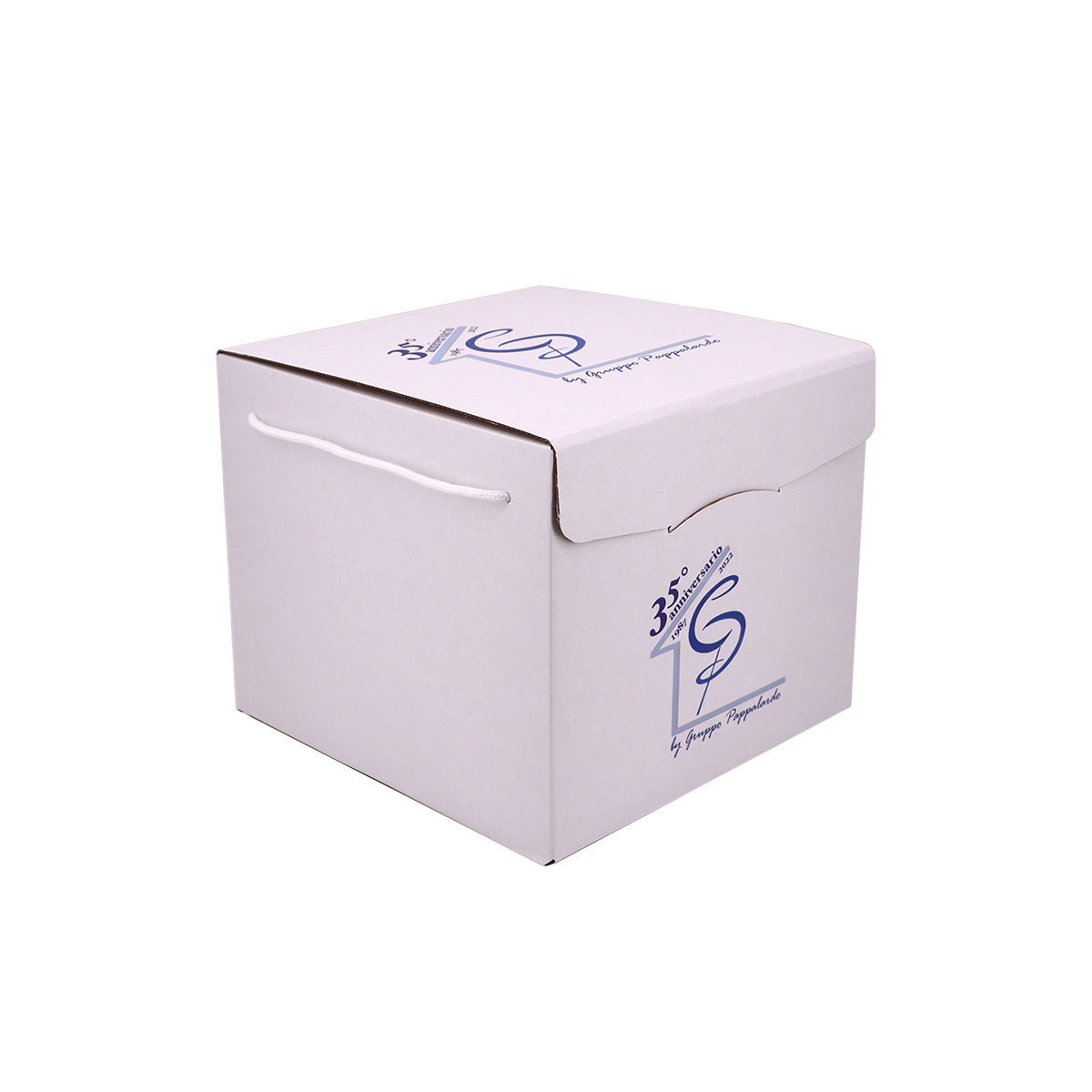 Immagine non disponibile