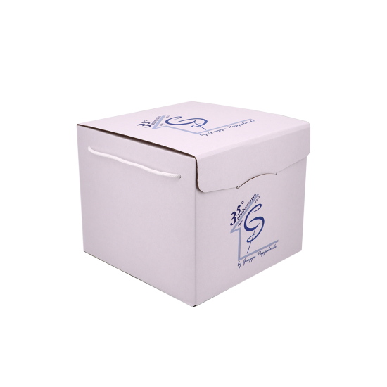 Immagine non disponibile