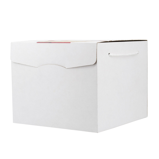 Immagine non disponibile