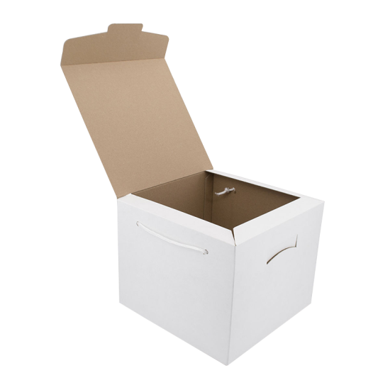 Immagine non disponibile