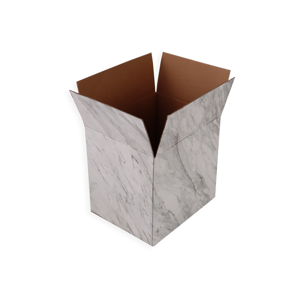 Immagine non disponibile