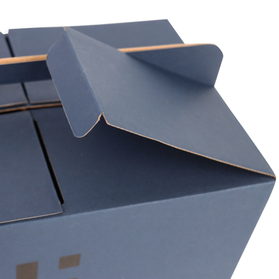 Immagine non disponibile