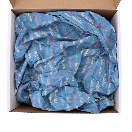 Immagine non disponibile