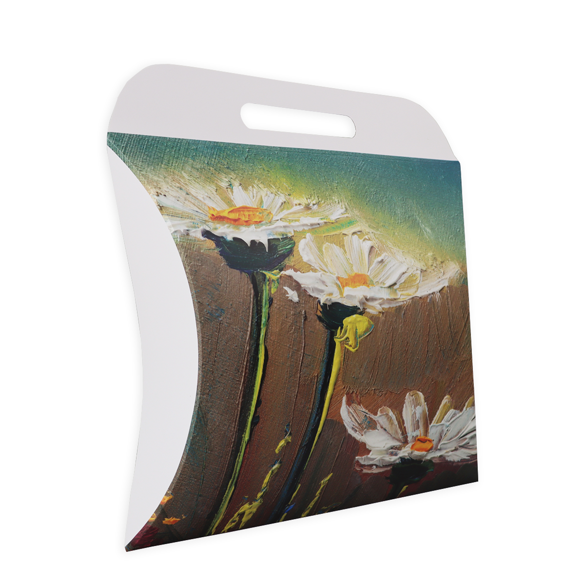 Immagine non disponibile