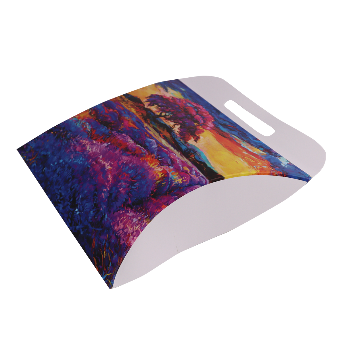 Immagine non disponibile