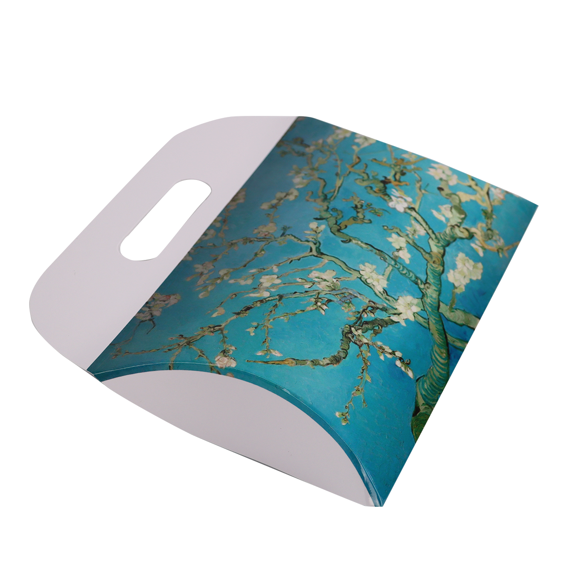 Immagine non disponibile