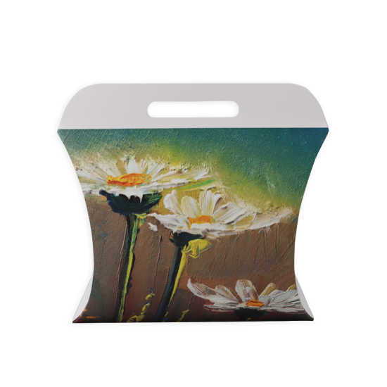 Immagine non disponibile