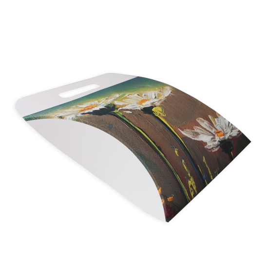 Immagine non disponibile