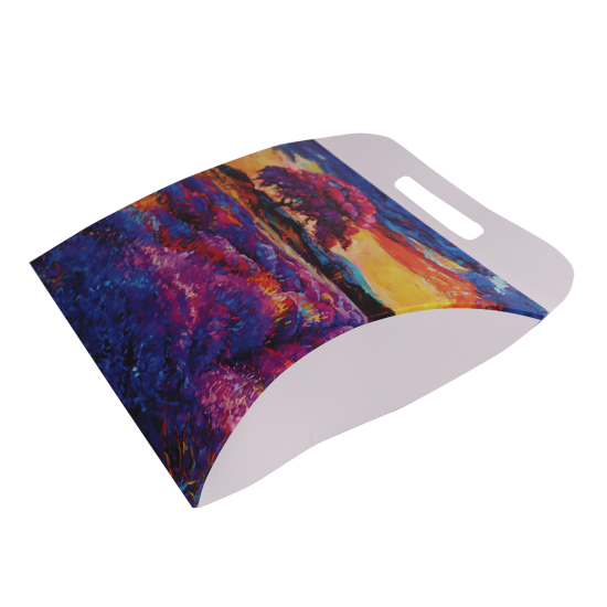 Immagine non disponibile