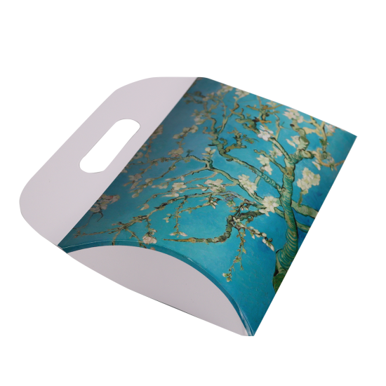 Immagine non disponibile