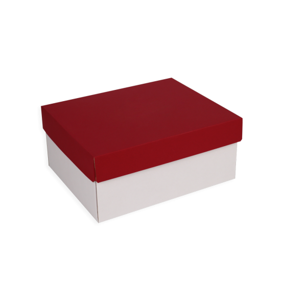 Immagine non disponibile