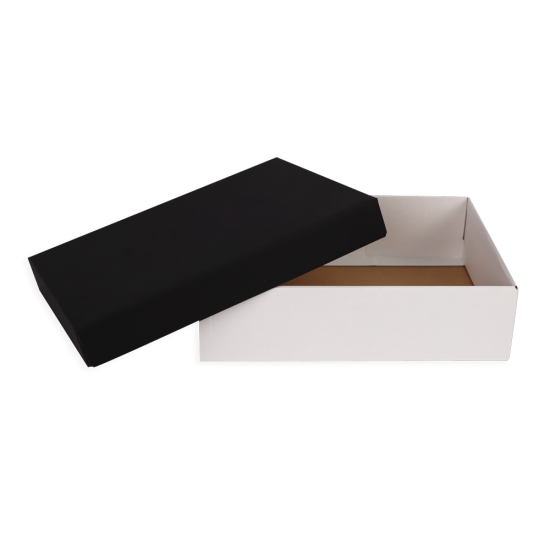 Immagine non disponibile