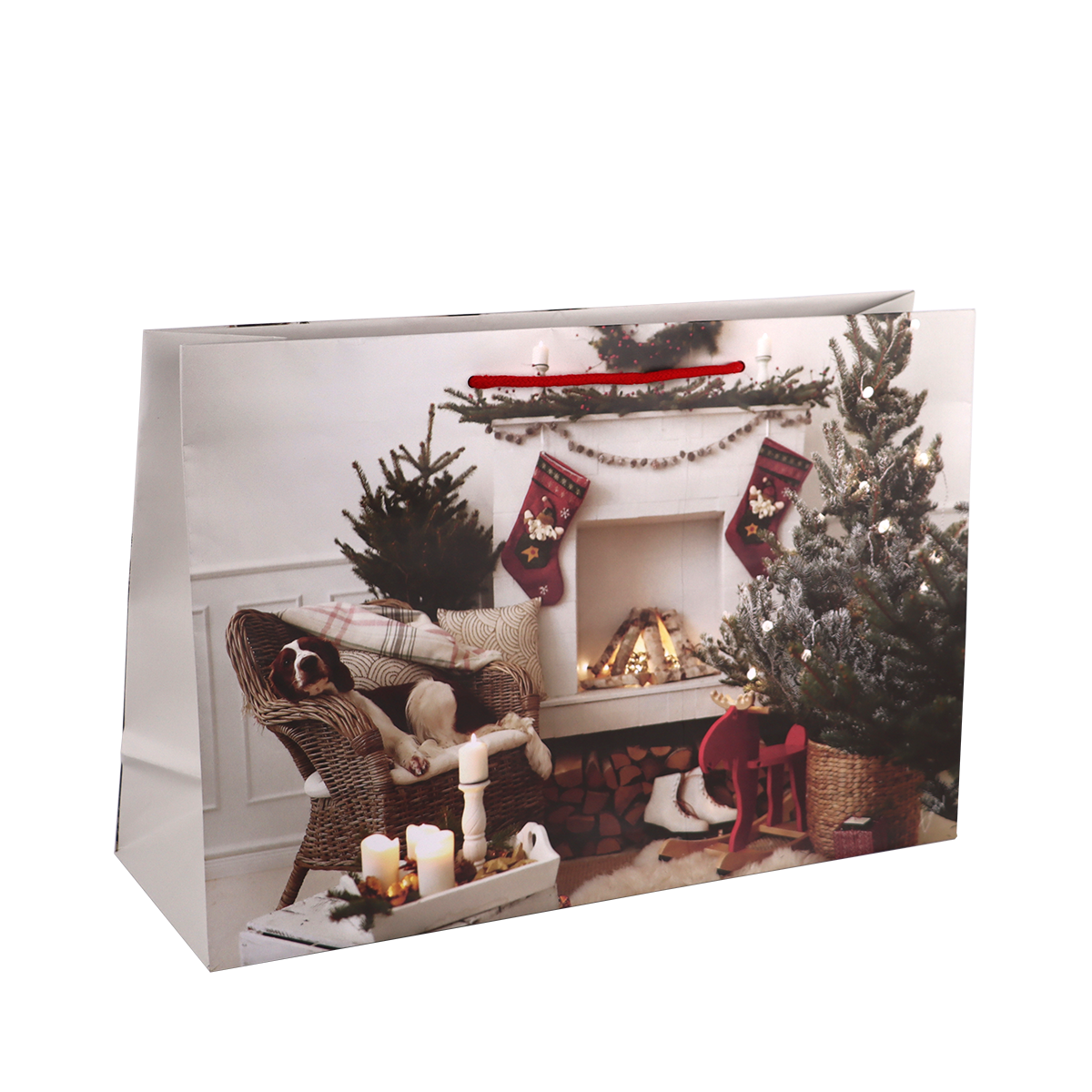 Immagine non disponibile