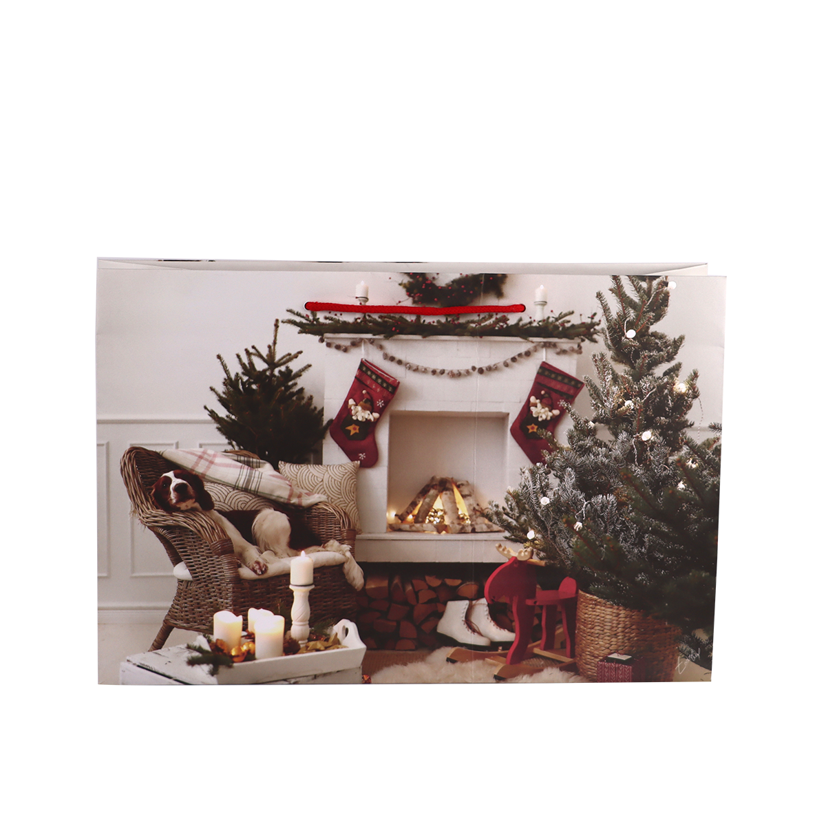 Immagine non disponibile