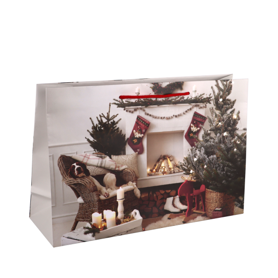 Immagine non disponibile