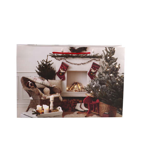 Immagine non disponibile