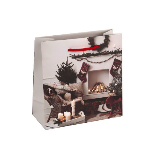 Immagine non disponibile