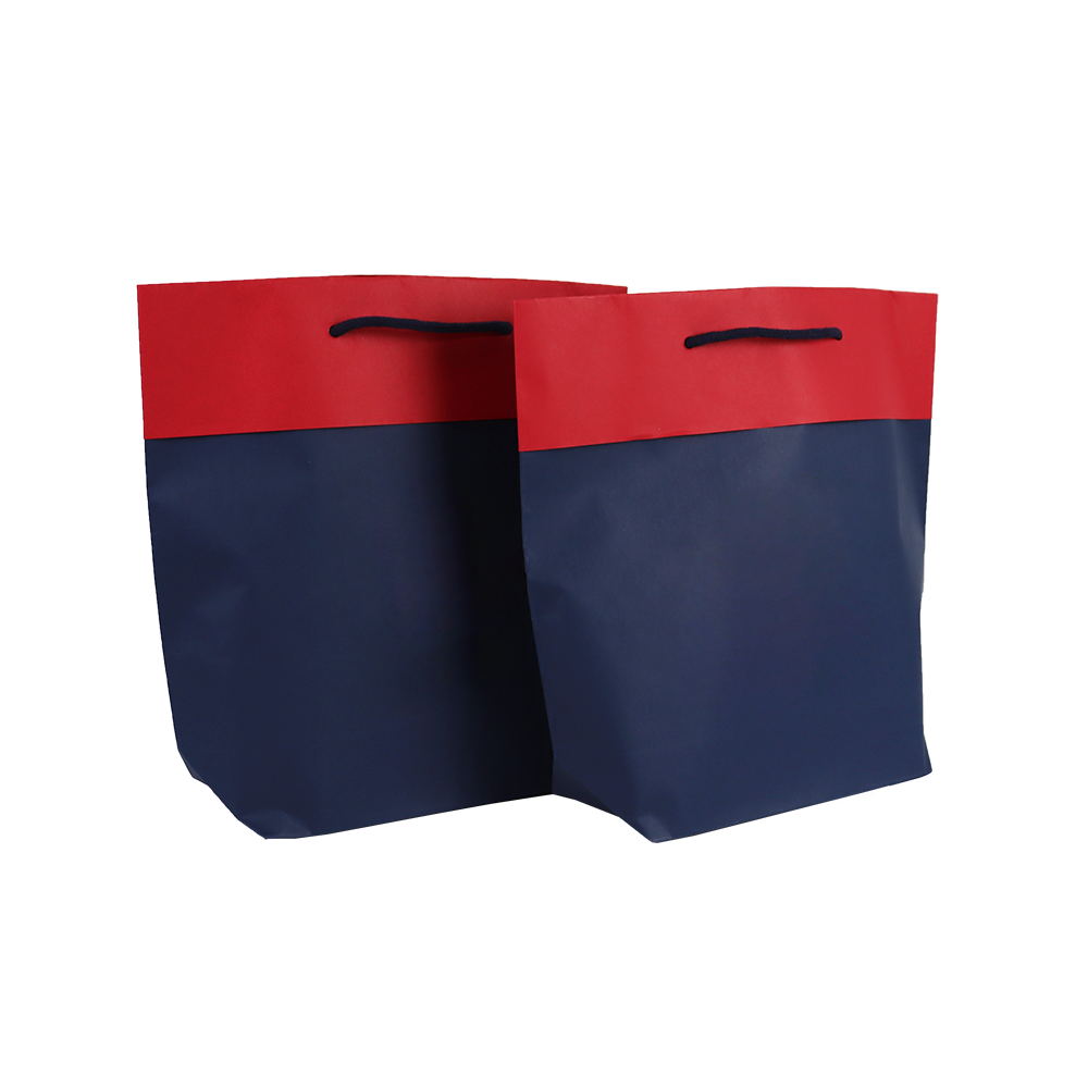 Shopper Bicolore Fondo Modello Gondola