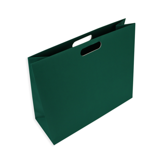 Immagine non disponibile