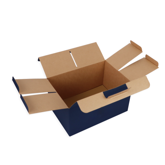 Immagine non disponibile