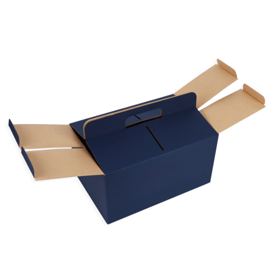 Immagine non disponibile