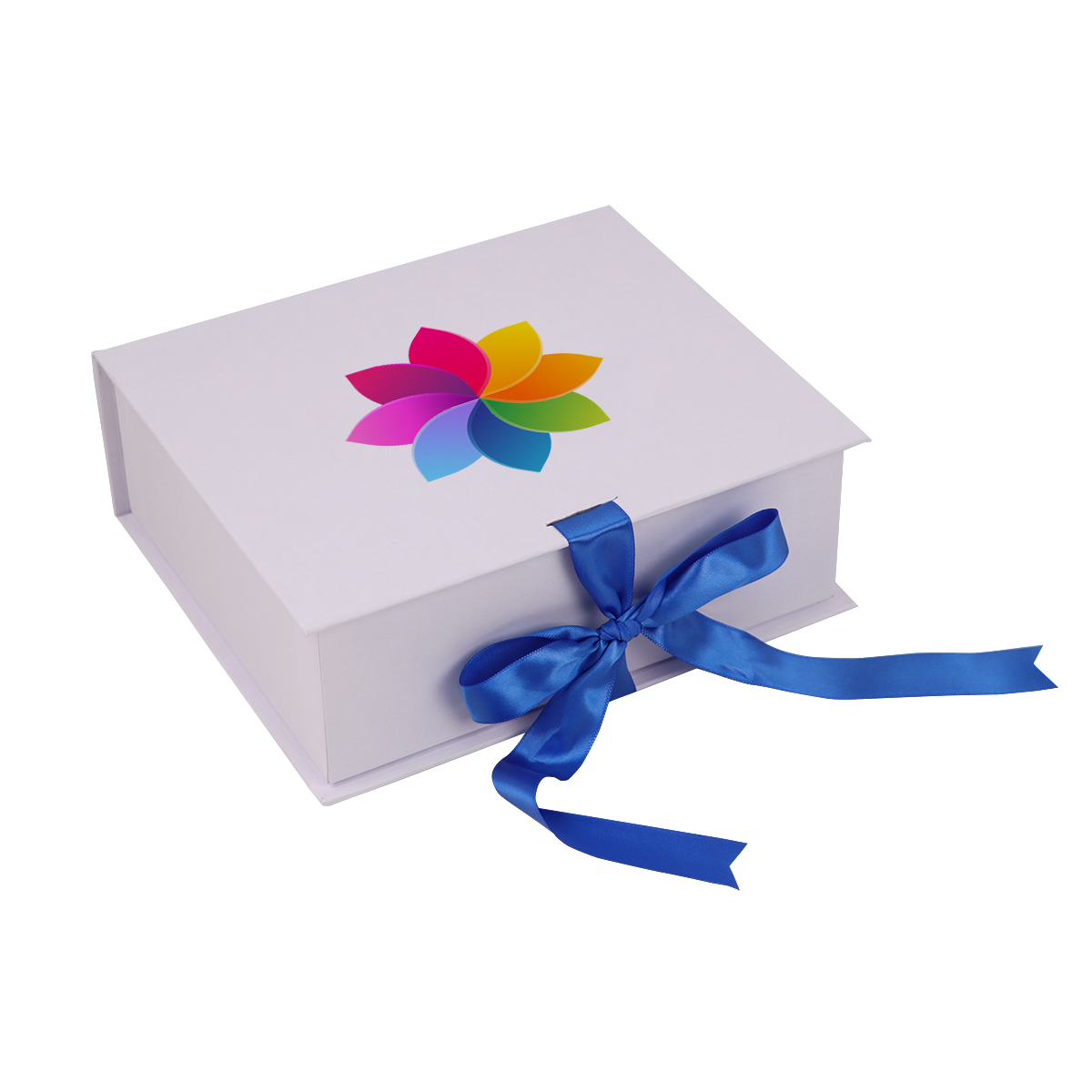 Immagine non disponibile