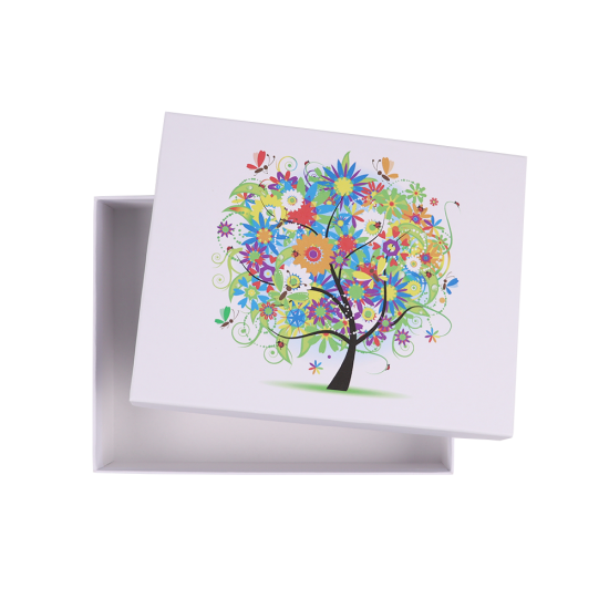 Immagine non disponibile