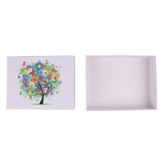 Immagine non disponibile