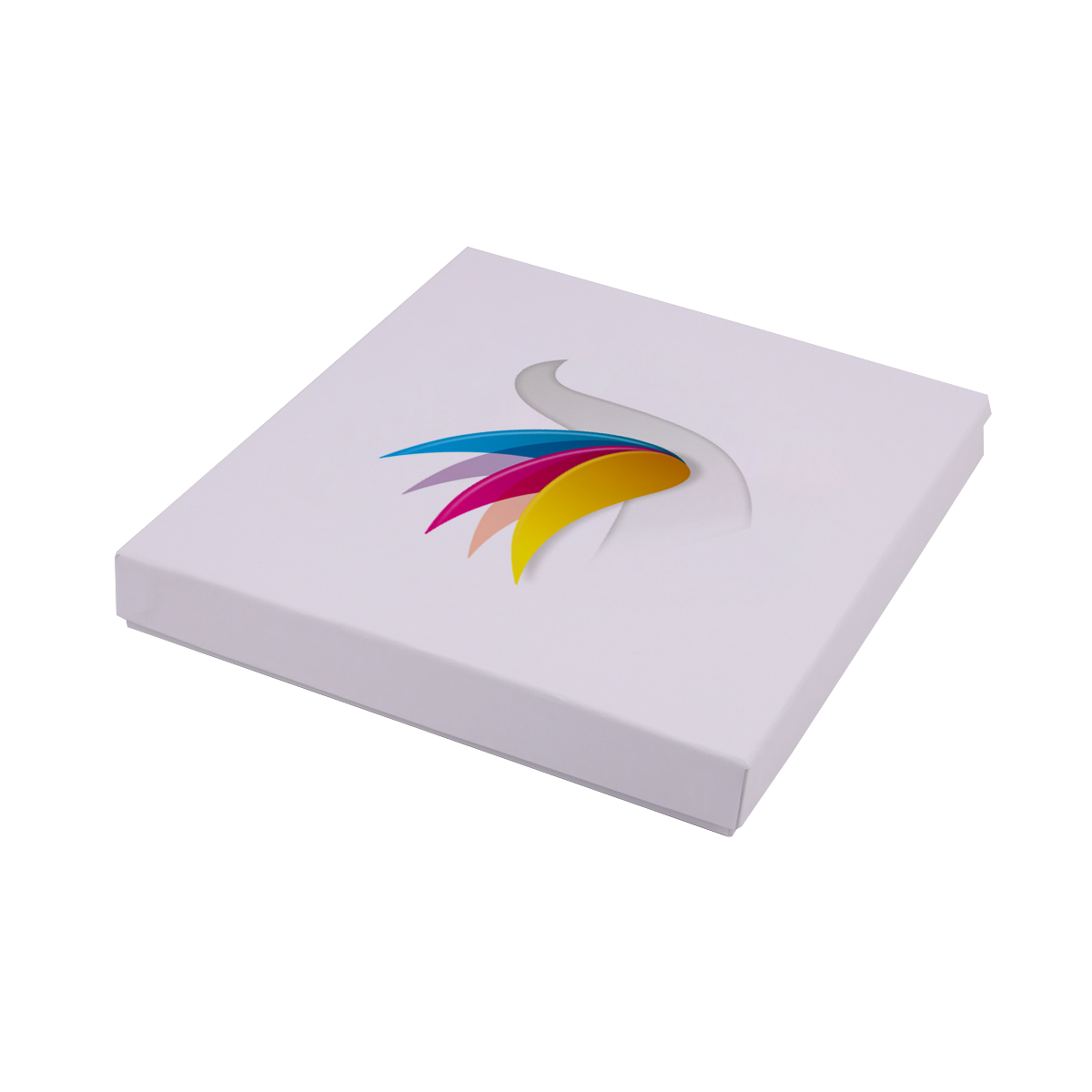 Immagine non disponibile