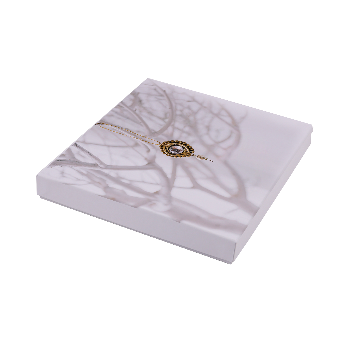 Immagine non disponibile