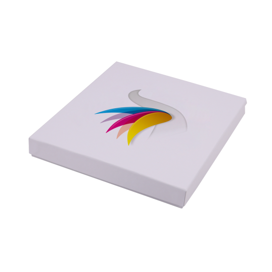 Immagine non disponibile