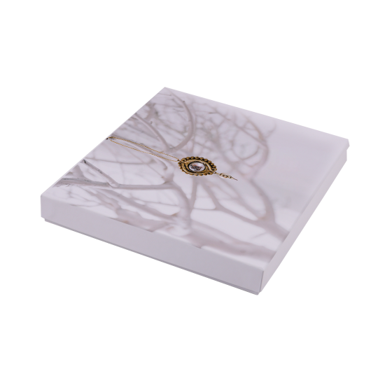 Immagine non disponibile